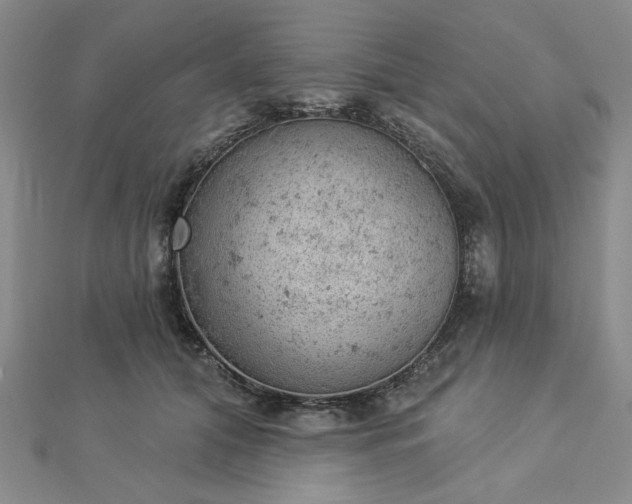 X0000112780608200908271705