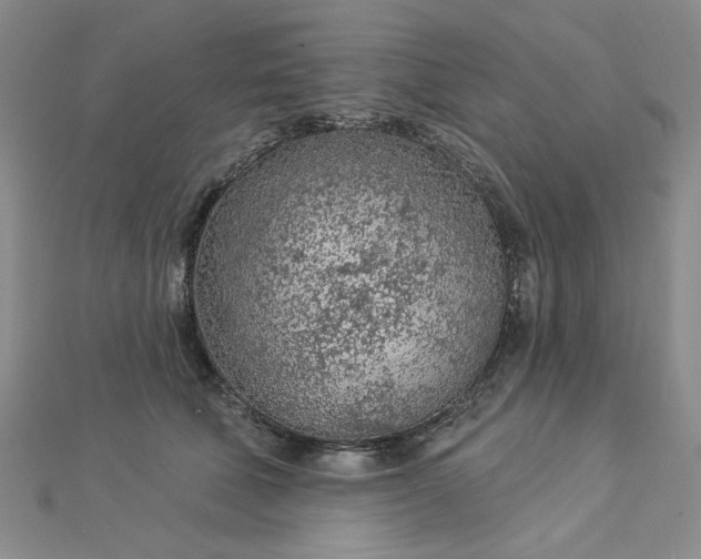 X0000112780610200908271705