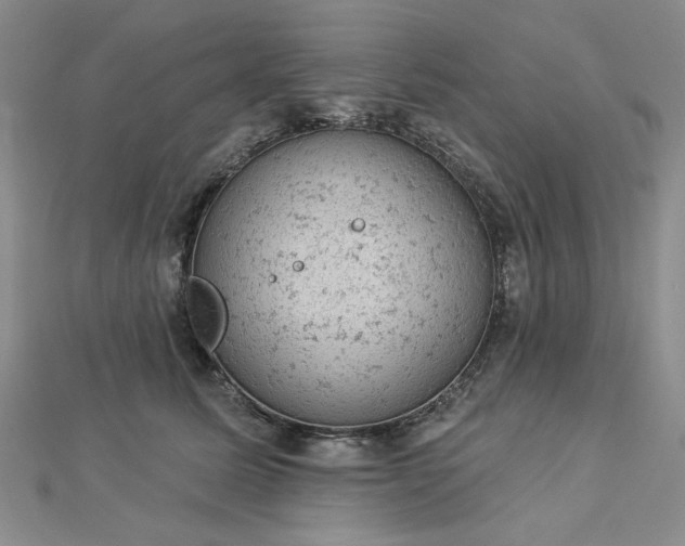 X0000112780611200908271705