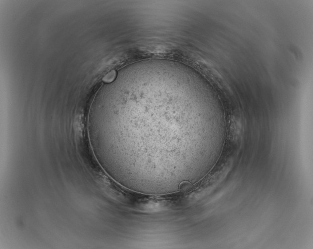 X0000112780612200908271705