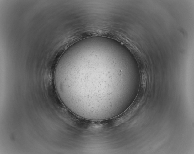 X0000112780613200908271705