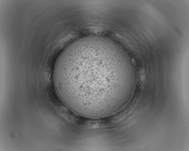 X0000112780615200908271705