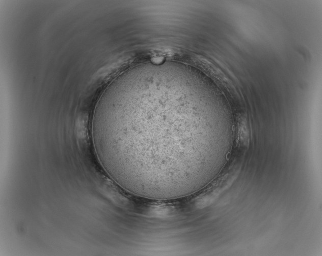 X0000112780616200908271705