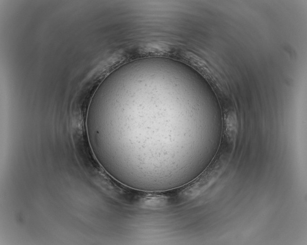 X0000112780617200908271705