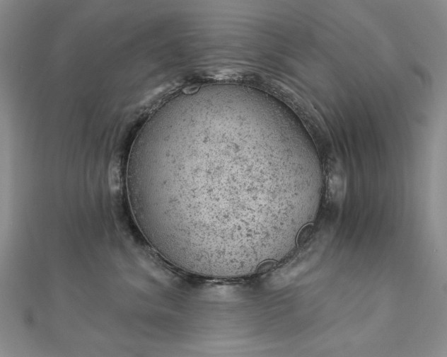 X0000112780620200908271705