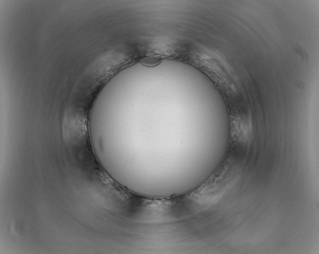 X0000112780621200908271705