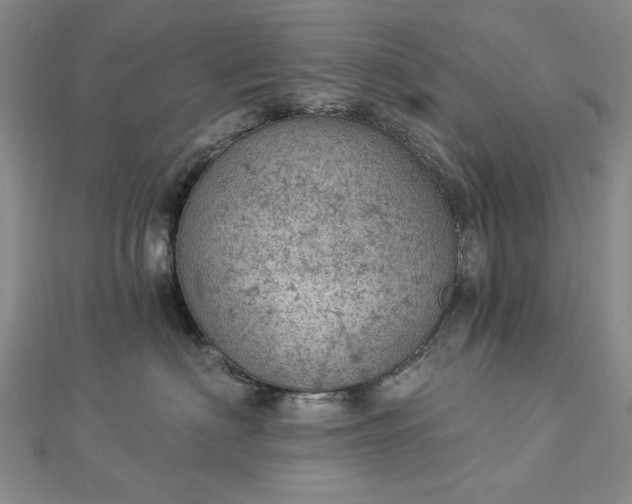 X0000112780622200908271705