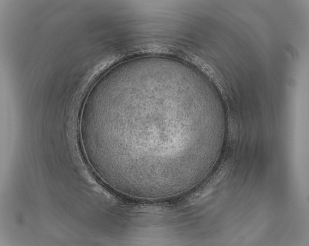 X0000112780625200908271704