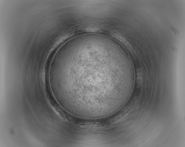 X0000112780626200908271704