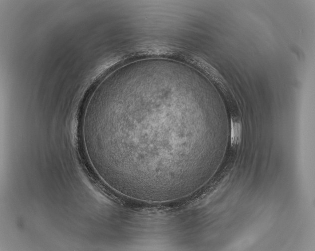 X0000112780627200908271704