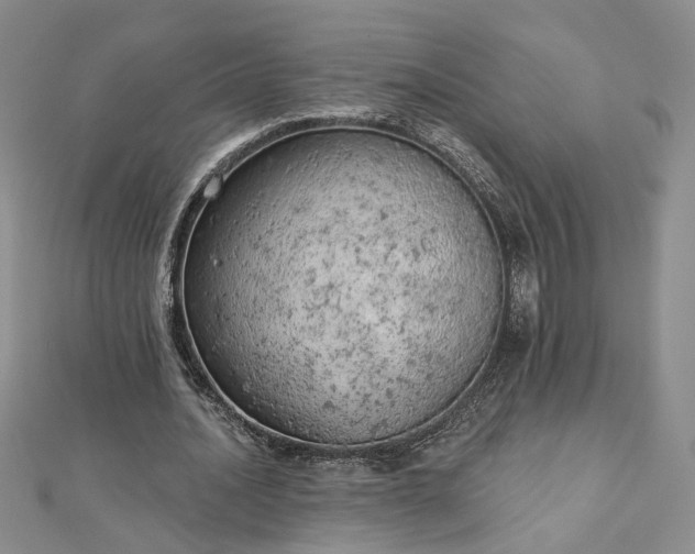 X0000112780628200908271704