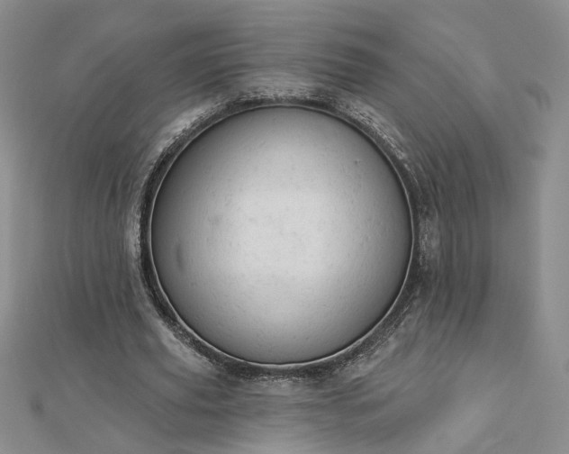 X0000112780629200908271704