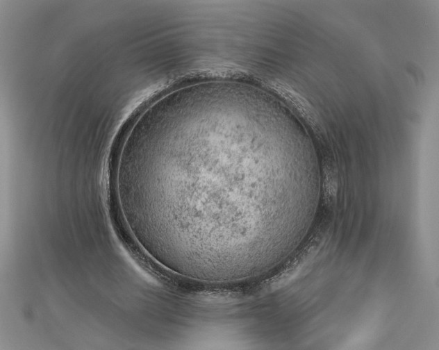 X0000112780630200908271704