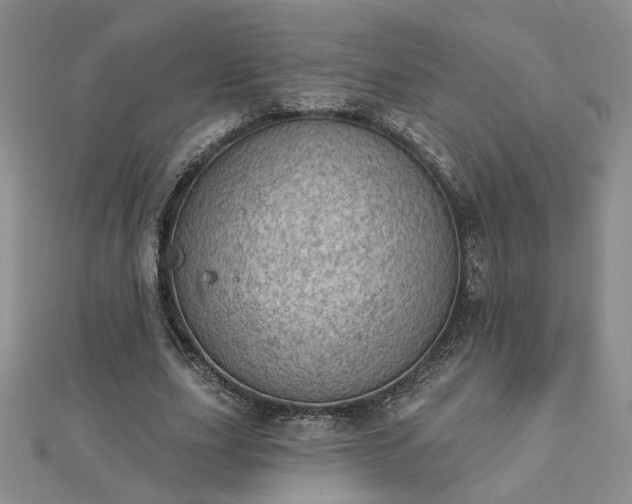 X0000112780631200908271704