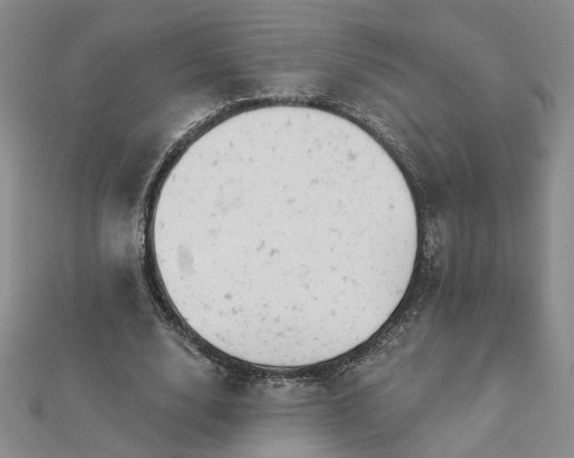 X0000112780632200908271704