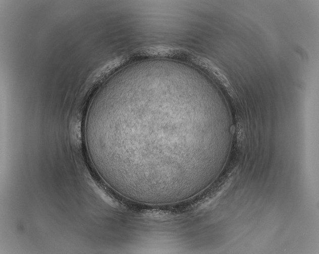 X0000112780633200908271704