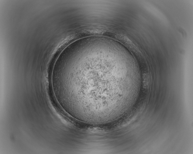 X0000112780634200908271704