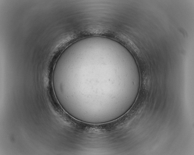 X0000112780635200908271704