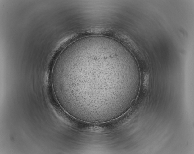 X0000112780636200908271704