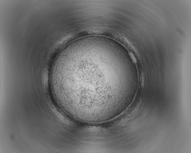 X0000112780637200908271704