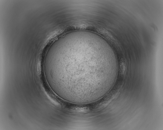 X0000112780638200908271704