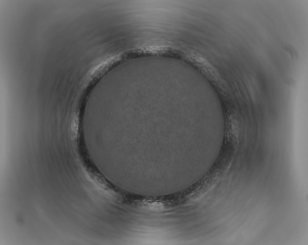 X0000112780640200908271704