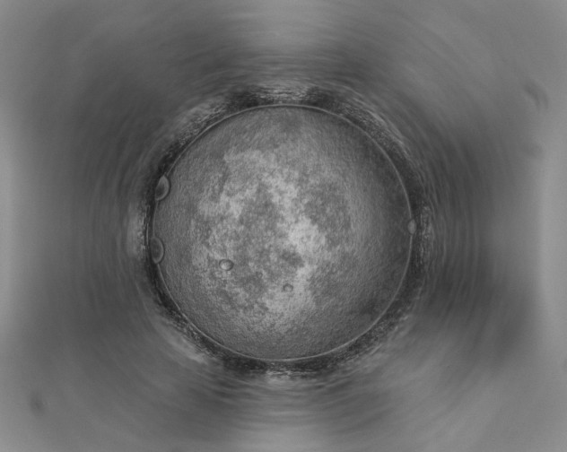 X0000112780641200908271704