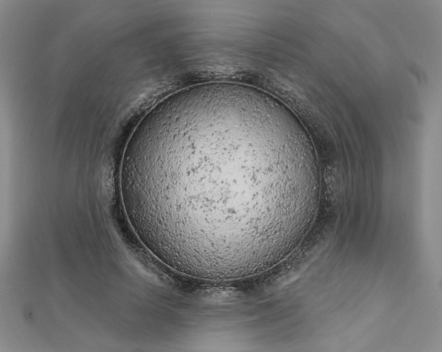 X0000112780642200908271704