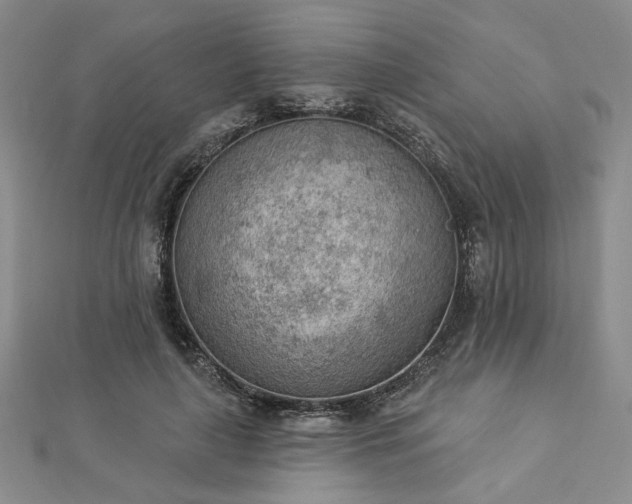 X0000112780643200908271704