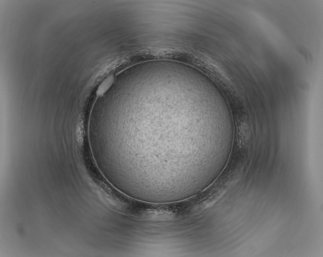 X0000112780644200908271704