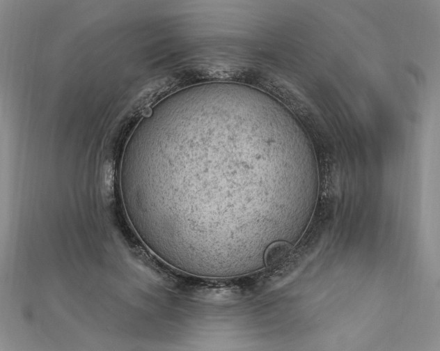 X0000112780646200908271704