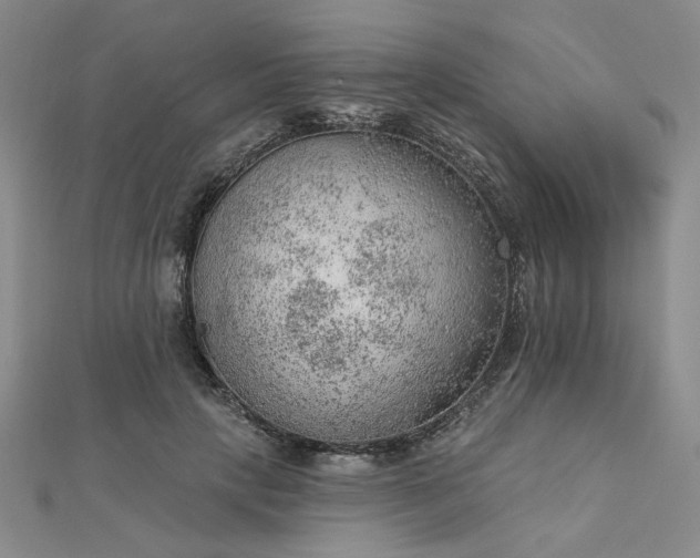 X0000112780649200908271704