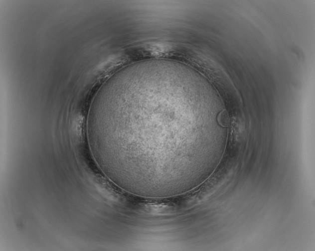 X0000112780650200908271704