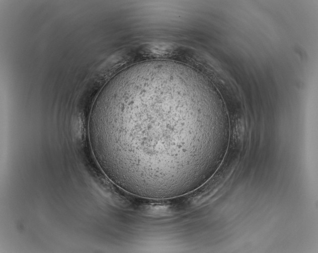 X0000112780651200908271704