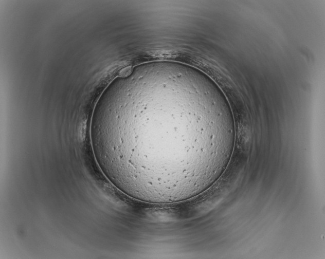 X0000112780652200908271704