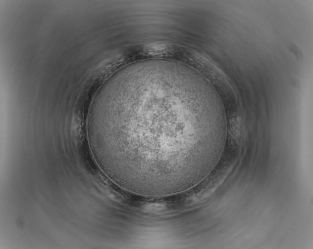 X0000112780653200908271705