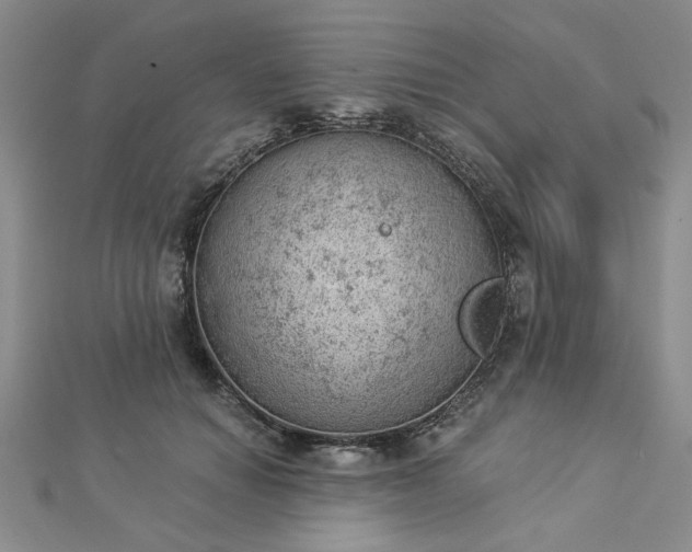 X0000112780654200908271705