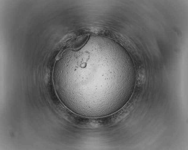 X0000112780656200908271705