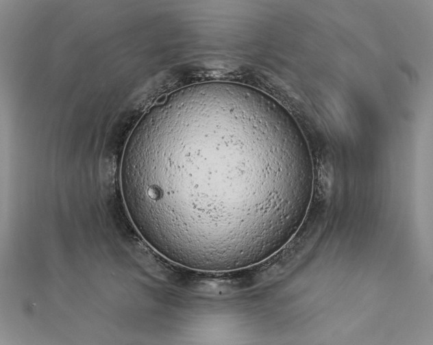 X0000112780657200908271705