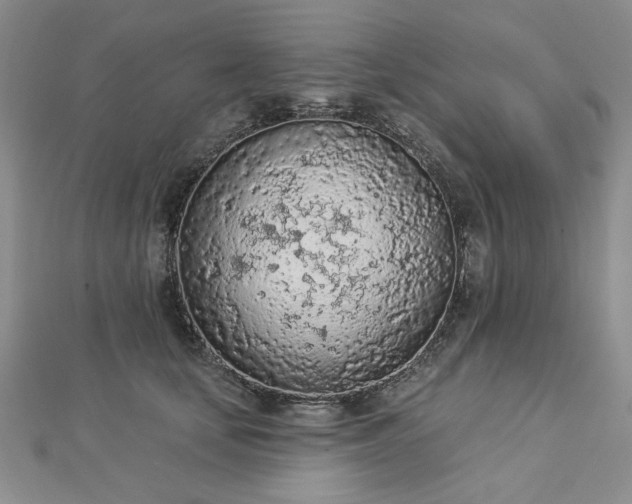 X0000112780659200908271705