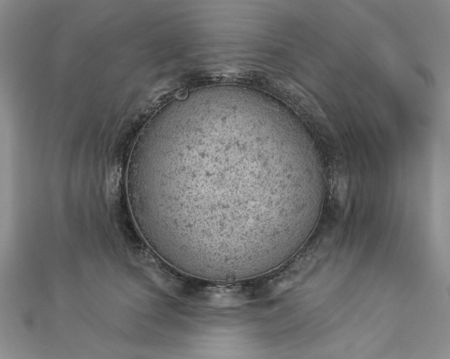 X0000112780660200908271705