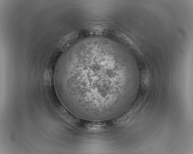 X0000112780661200908271705