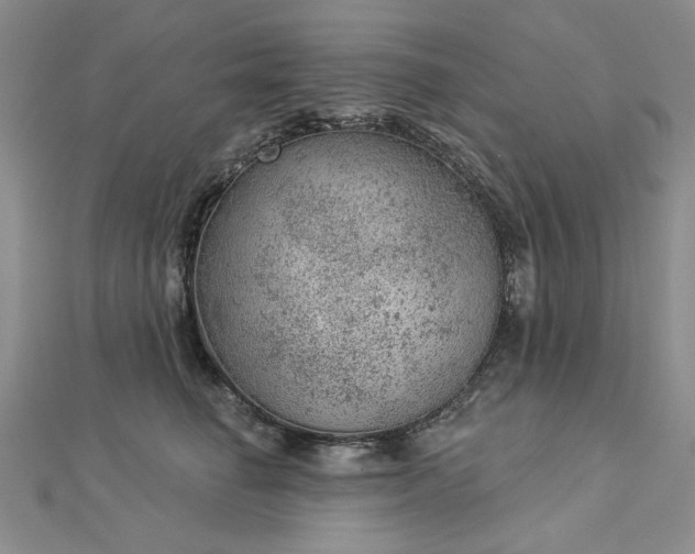 X0000112780662200908271705