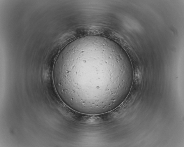 X0000112780663200908271705