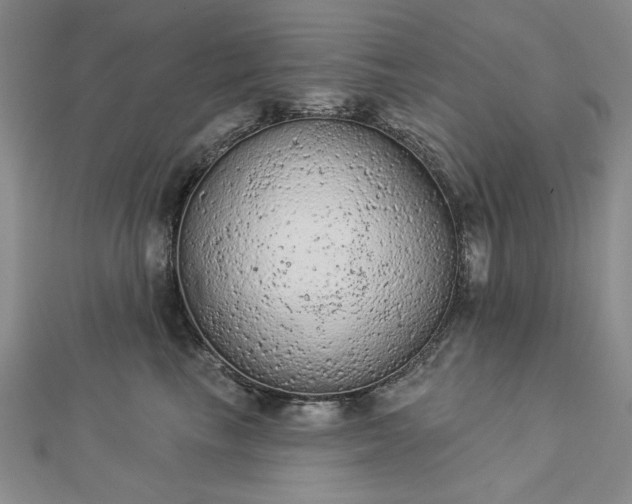 X0000112780665200908271705