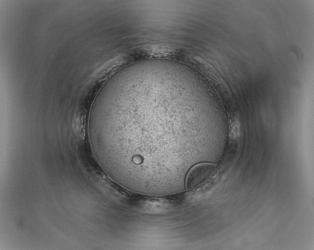 X0000112780666200908271705