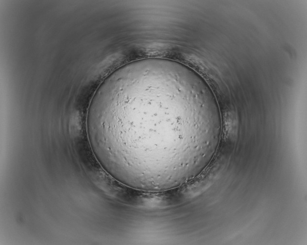 X0000112780667200908271705