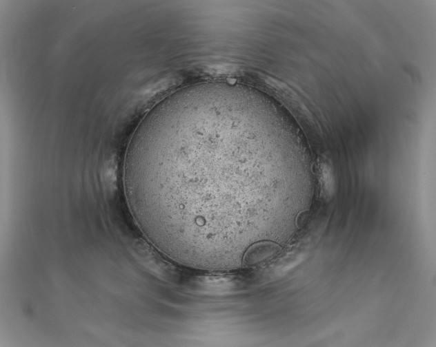 X0000112780668200908271705