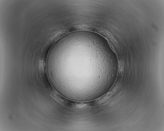 X0000112780669200908271705