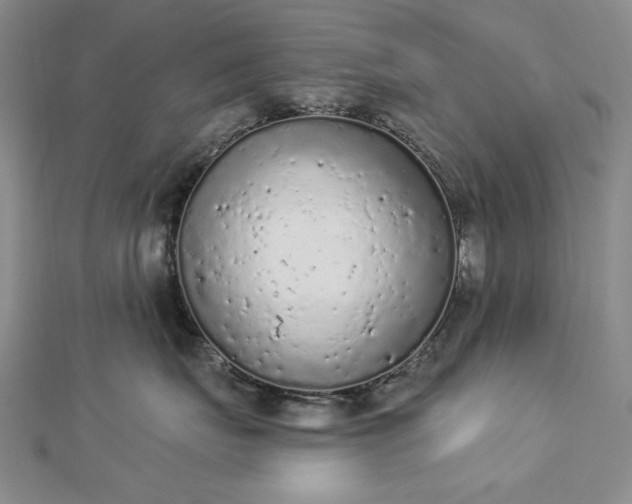 X0000112780671200908271705